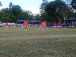 Bola